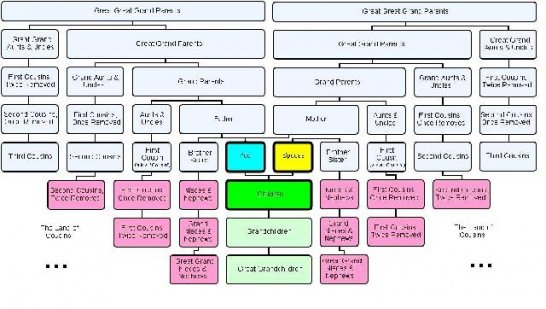 10 Best Images of Extended Family Chart - Chinese Family