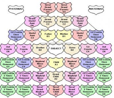 Family Relations Explained Related Keywords & Suggestions - Family