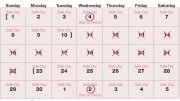 What is calendar method in Family Planning?