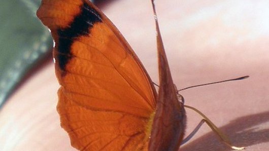 Long distance family relationships