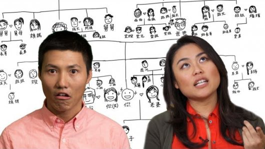 What is family lineage?