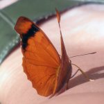 Long distance family relationships